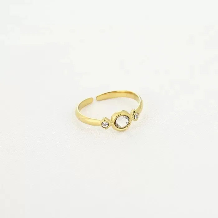 Ronde steentjes ring goud