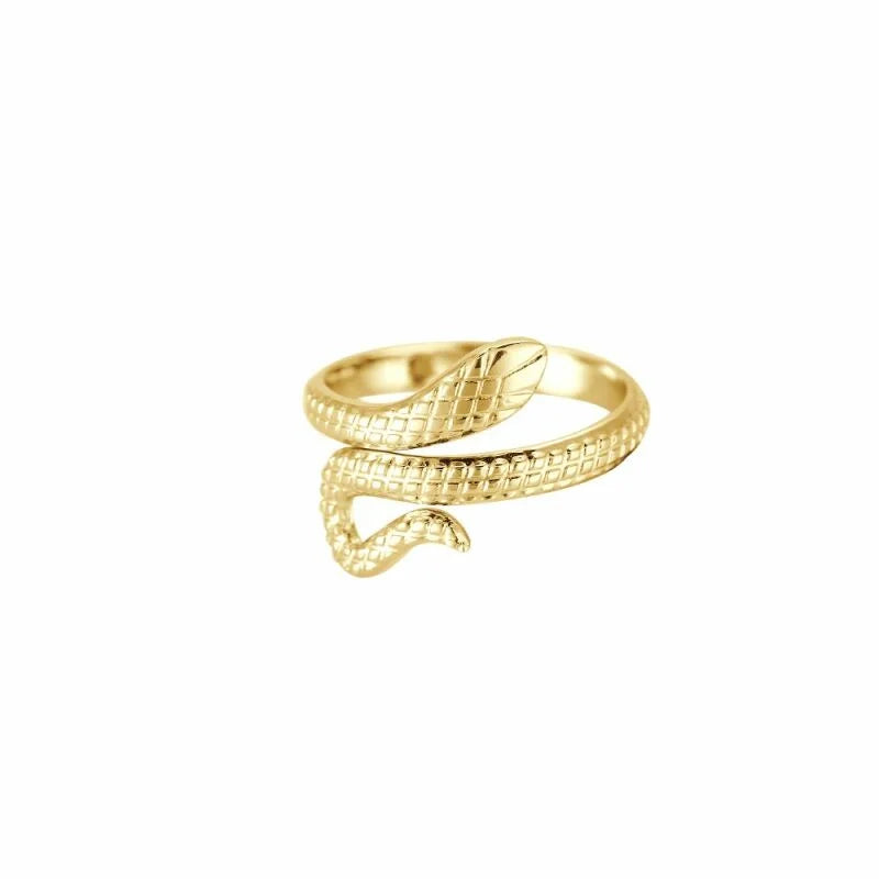 Small snake ring goud